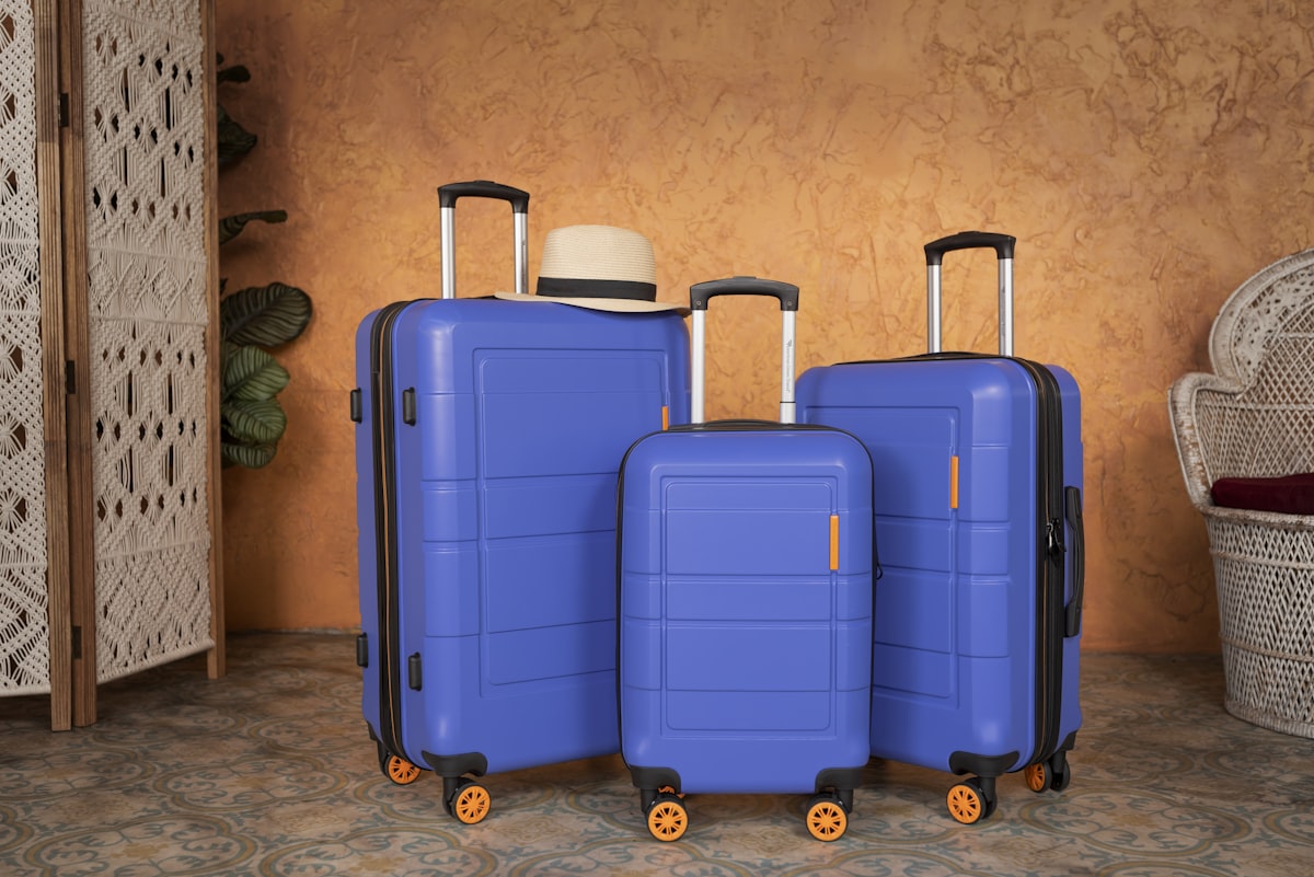 Deux valises assorties posées côte à côte